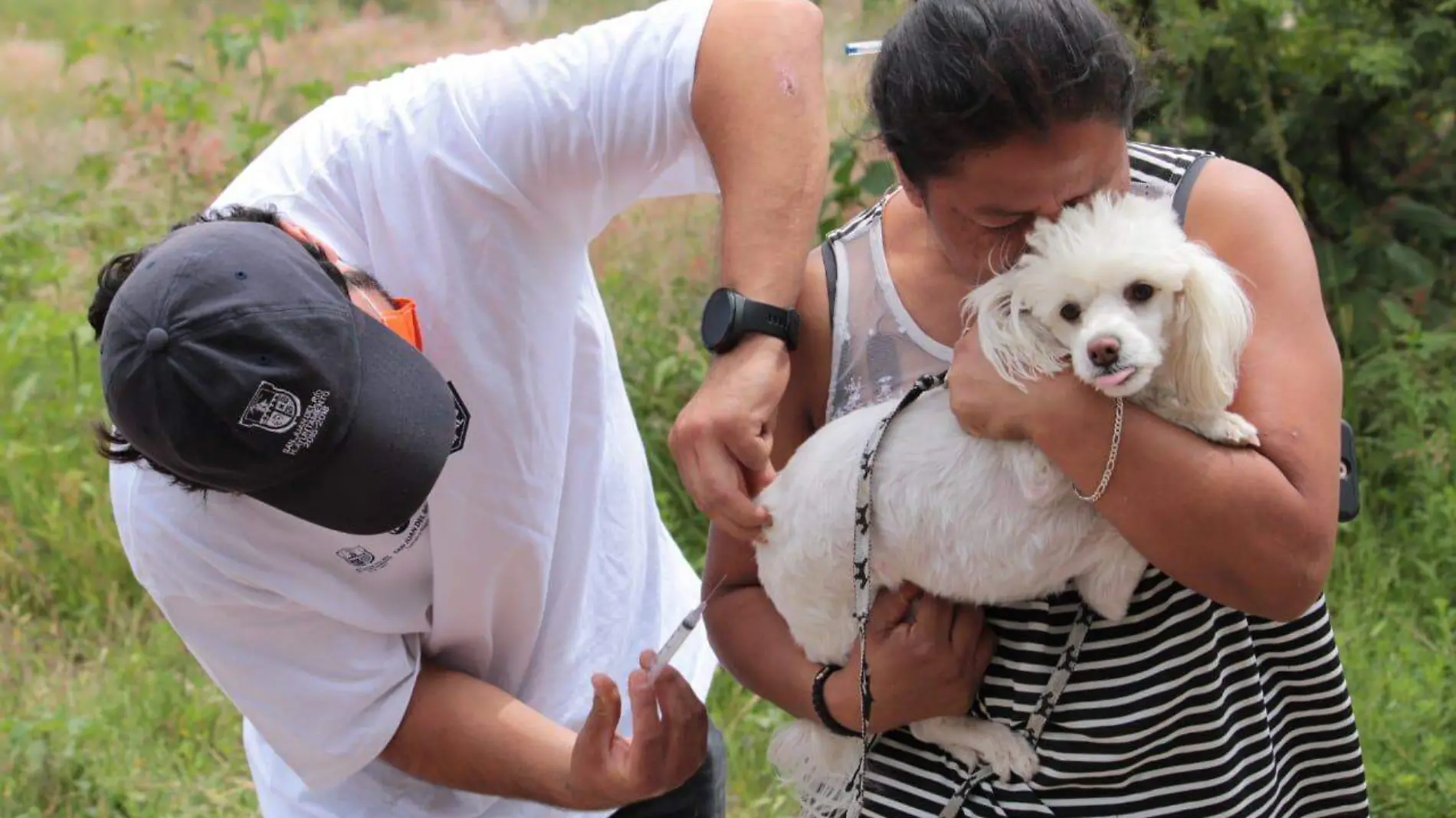 Veterinarios expertos aplicaron la vacuna a las mascotas.  Cortes_a Regidor S_ndico.